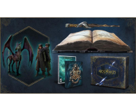 Xbox Hogwarts Legacy Collectors Edition - 1067174 - zdjęcie 4